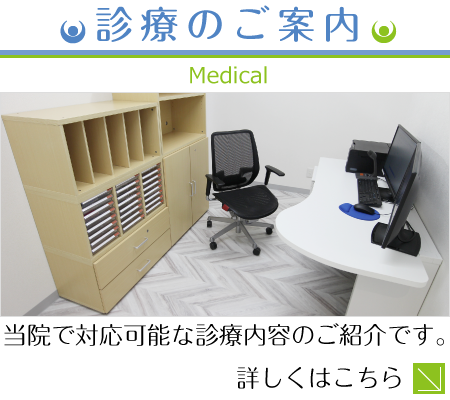 診療のご案内|当院で対応可能な診療内容のご紹介です。詳しくはこちら